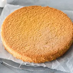 Ein goldbrauner Biskuitboden, perfekt für jedes Biskuitteig Rezept in der Springform. Die Eierschalen im Hintergrund deuten auf die Zubereitung hin.