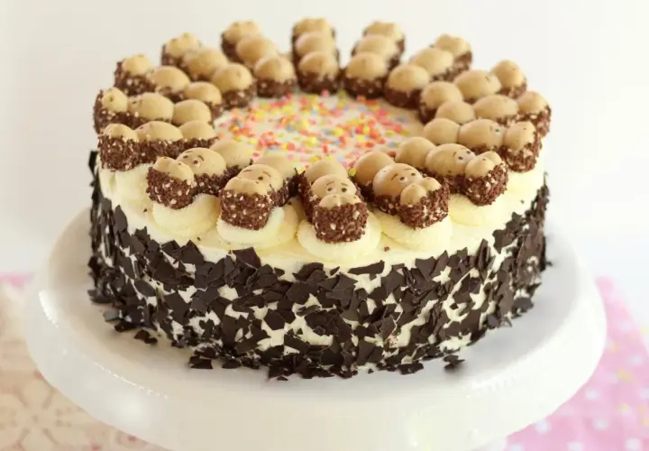 Eine Sahnetorte mit Schokostückchen und süßen Figuren obendrauf. Perfekt für geile Torten Rezepte!