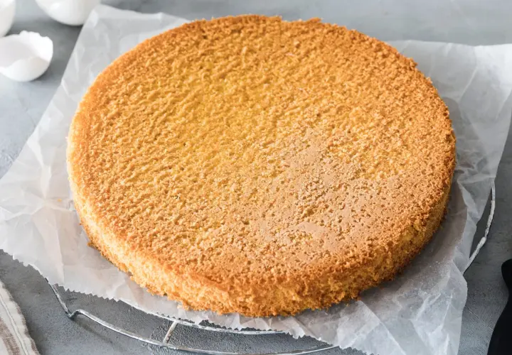 Ein goldbrauner Biskuitboden, perfekt für jedes Biskuitteig Rezept in der Springform. Die Eierschalen im Hintergrund deuten auf die Zubereitung hin.