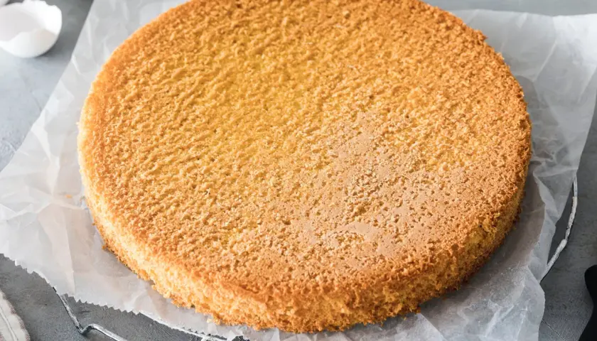 Ein goldbrauner Biskuitboden, perfekt für jedes Biskuitteig Rezept in der Springform. Die Eierschalen im Hintergrund deuten auf die Zubereitung hin.