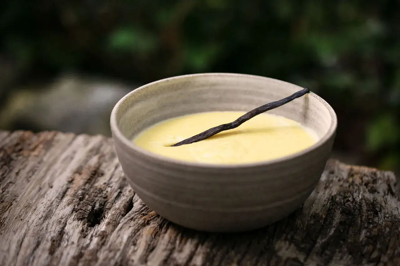 Sch&uuml;ssel mit cremigem Vanillepudding, garniert mit einer Vanilleschote. Perfekt zum Pudding selber machen.